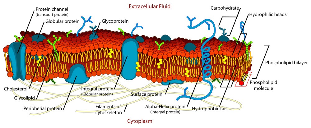 Figure_01_01_06_aa.jpg